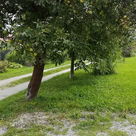 Apartman Bright Side